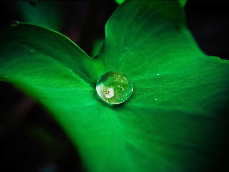 Software Dashboard Interface