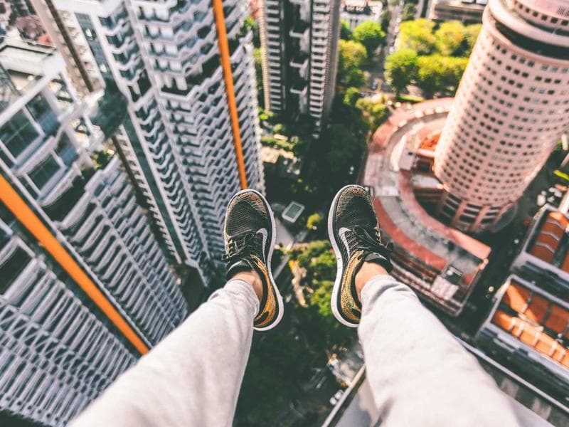 Veterinary software dashboard